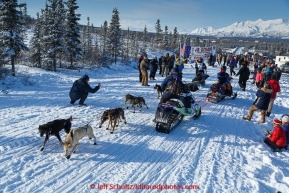 Jordan Seager weaves through snowmachines as he starts the 2015 Junior Iditarod on the Denali Highway on on Sunday March 1, 2015.(C) Jeff Schultz/SchultzPhoto.com - ALL RIGHTS RESERVED DUPLICATION  PROHIBITED  WITHOUT  PERMISSION