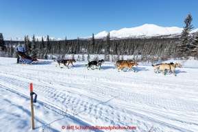 Janelle Trowbridge and team run down the trail on the Denali Highway with the Alaska Range in the background during the start day of the 2015 Junior Iditarod on Sunday March 1, 2015(C) Jeff Schultz/SchultzPhoto.com - ALL RIGHTS RESERVED DUPLICATION  PROHIBITED  WITHOUT  PERMISSION