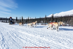 Jimmy Lanier and team run down the trail on the Denali Highway with the Alaska Range in the background during the start day of the 2015 Junior Iditarod on Sunday March 1, 2015(C) Jeff Schultz/SchultzPhoto.com - ALL RIGHTS RESERVED DUPLICATION  PROHIBITED  WITHOUT  PERMISSION