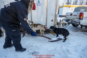 Veteran musher Ken Anderson scoops the poop from his team at the pre-race vet-check for dogs running this year's 2017 Iditarod at Iditarod Headquarters in Wasilla, Alaska.  Wednesday March 1, 2017Photo by Jeff Schultz/SchultzPhoto.com  (C) 2017  ALL RIGHTS RESVERVED