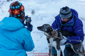 Teachers from the Iditarod Education Conference take photos and look at the dogs and mushers at the pre-race vet-check for dogs running this year's 2017 Iditarod at Iditarod Headquarters in Wasilla, Alaska.  Wednesday March 1, 2017Photo by Jeff Schultz/SchultzPhoto.com  (C) 2017  ALL RIGHTS RESVERVED