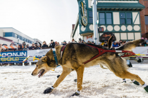 Calvin Daugherty's Team Running
