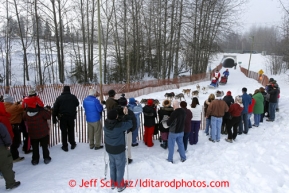 Jan Steves runs down the bike/ski trail in mid-town Anchorage during the ceremonial start of the Iditarod sled dog race Anchorage Saturday, March 2, 2013. Photo (C) Jeff Schultz/IditarodPhotos.com  Do not reproduce without permission