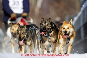 Michael Suprenant dogs on the trail during the ceremonial start of the Iditarod sled dog race Anchorage Saturday, March 2, 2013. Photo (C) Jeff Schultz/IditarodPhotos.com  Do not reproduce without permission