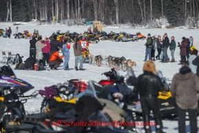 Iditarod 2014 Restart