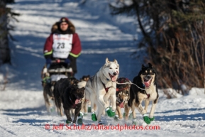 Iditarod 2014 Restart