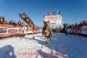 Iditarod 2014 Restart