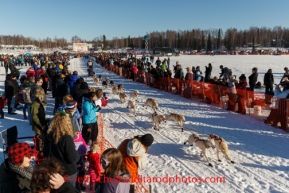 Iditarod 2014 Restart