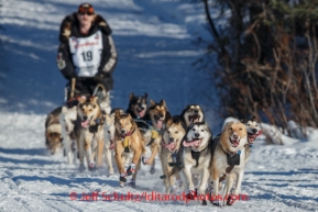 Iditarod 2014 Restart