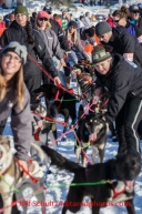 Iditarod 2014 Restart