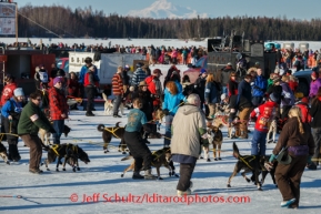 Iditarod 2014 Restart