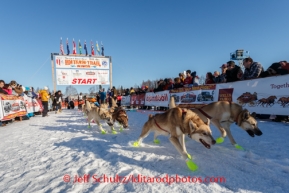 Iditarod 2014 Restart