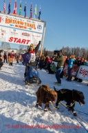 Iditarod 2014 Restart