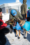 2026 Iditarod Finisher