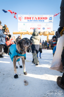 2026 Iditarod Finisher