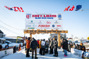 2026 Iditarod Finisher