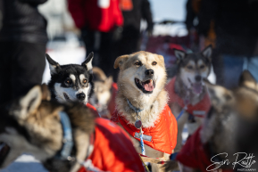 2026 Iditarod Finisher