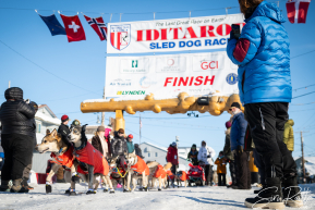 2026 Iditarod Finisher