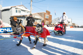 2026 Iditarod Finisher