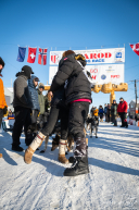 2026 Iditarod Finisher