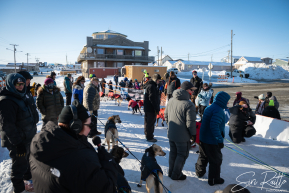 2026 Iditarod Finisher