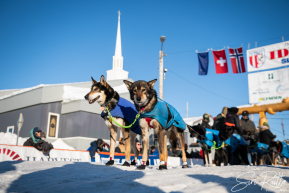 2026 Iditarod Finisher