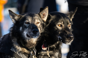 2026 Iditarod Finisher | Red Lantern