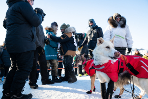 2026 Iditarod Finisher