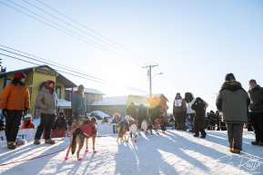 2026 Iditarod Finisher