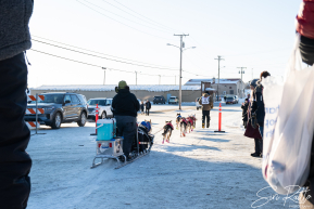 2026 Iditarod Finisher