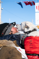 2026 Iditarod Finisher