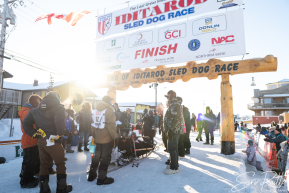 2026 Iditarod Finisher