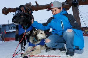Young Mason Omiak of Nome pets a couple of Lachlan Clarke dogs shorlty after Lachlan finished the Iditarod at Nome on Sunday  March 22, 2015 during Iditarod 2015.  (C) Jeff Schultz/SchultzPhoto.com - ALL RIGHTS RESERVED DUPLICATION  PROHIBITED  WITHOUT  PERMISSION