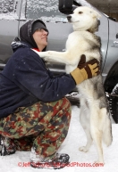 Saturday, March 3, 2012 Musher Sylvia Furtwangler's handler, Bob Steiner, and one of her dogs, O2, along Fourth Avenue prior to the Ceremonial Start of Iditarod 2012 in Anchorage, Alaska.