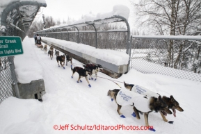 Saturday, March 3, 2012  Aaron Burmeister's team crosses a bridge over Northern Lights Blvd during the Ceremonial Start of Iditarod 2012 in Anchorage, Alaska.