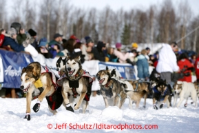 Allen Moore's lead dogs lunge in the start chute on Willow Lake during the re-start of the Iditarod sled dog race Sunday, March 3, 2013.