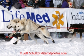 Jerry Sousa's dogs lean into their harnesses as he leaves the start line on Willow Lake during the re-start of the Iditarod sled dog race Sunday, March 3, 2013.  .