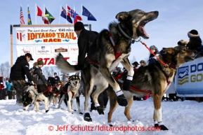 A Louie Ambrose dog leaps ready to leave from the start line during the restart on Willow lake during the Iditarod sled dog race Sunday, March 3, 2013.