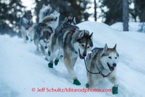 Iditarod 2014 03 Monday