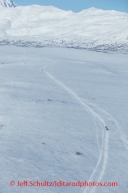 Iditarod 2014 03 Monday