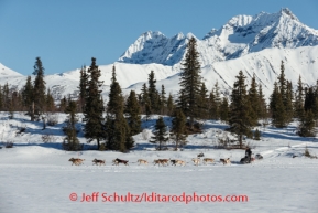 Iditarod 2014 03 Monday