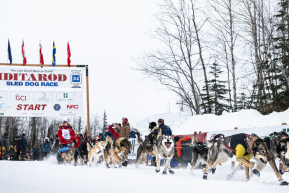 2024 Iditarod's official restart in Willow, Alaska