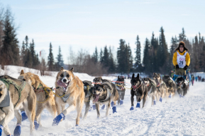 Official Restart in Fairbanks Alaska, March 3rd, 2025