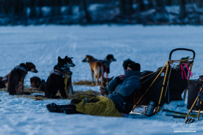 Nap Time in Nenana