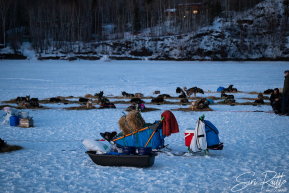 Teams arriving into the first checkpoint of the 2025 Fairbanks route, Nenana