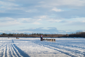 Teams arriving into the first checkpoint of the 2025 Fairbanks route, Nenana