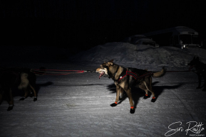 Teams arriving into the first checkpoint of the 2025 Fairbanks route, Nenana