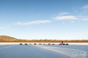 Teams arriving into the first checkpoint of the 2025 Fairbanks route, Nenana