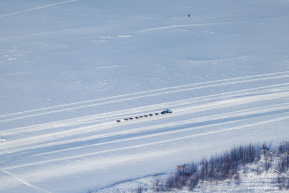 Dog Team On the Way to Nenana 2