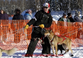 Sunday, March 4, 2012  A volunteer dog handler helps get dogs to the starting ling at the restart of Iditarod 2012 in Willow, Alaska.